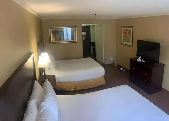 Best Western Davison Inn