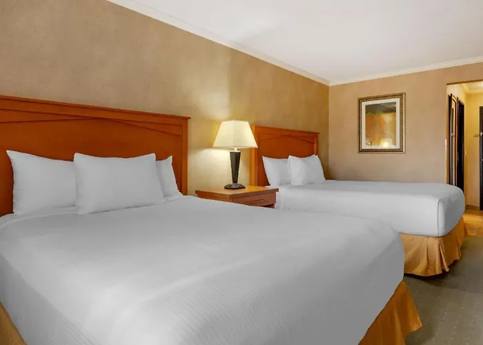 Best Western Davison Inn